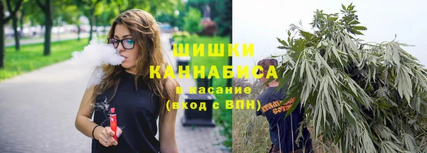 трава Кодинск