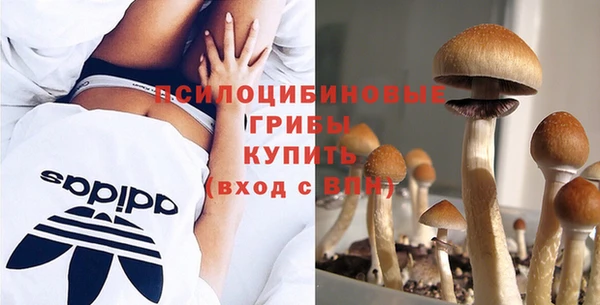 трава Кодинск